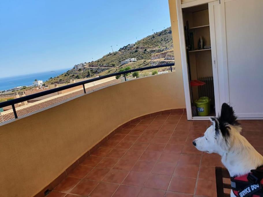 Apartamento 2 Habitaciones En Benalmádena Esterno foto